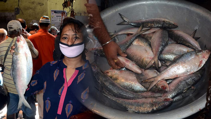 Satisfaction of Bengalis before Durga Puja Hilsa of Bangladesh in the wholesale fish market of Howrah