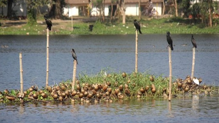 Environmentalists have complained against the South Eastern Railway for ruining the environment of the  Swimming aviary