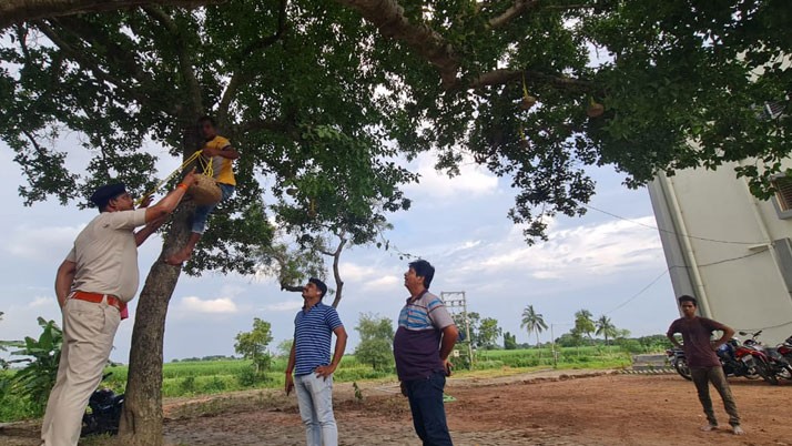 A group of birds caught in the storm of a banyan tree at Nadan Ghat police station won the hearts of the police
