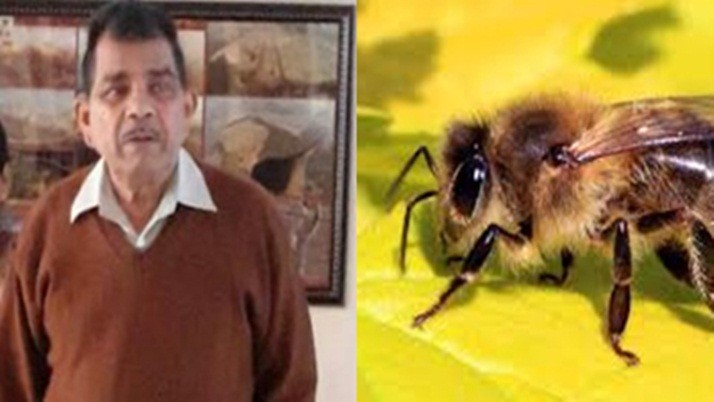 The tragic death of a old man due to bee sting