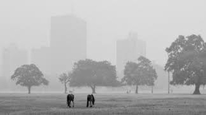 The temperature in Bengal is even lower, with a frosty wind blowing in the north