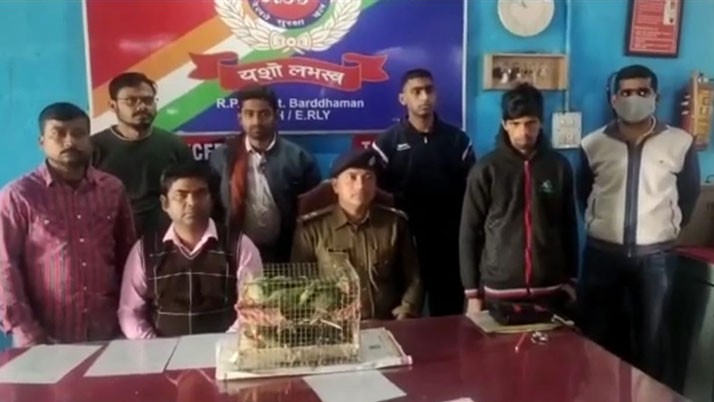 Arrested smugglers along with several parrots in the activities of the railway police