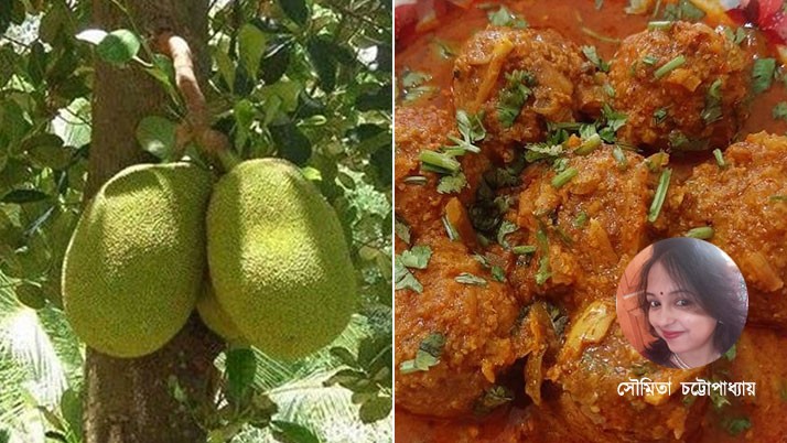 Jackfruit Kebab made in home