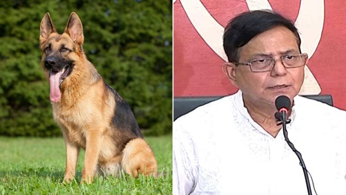 Controversy erupts over Selim's comments on keeping dogs without police