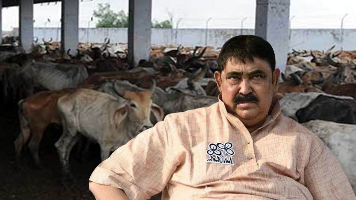 Did Anubrat Mandal rush to Nizam's Palace realizing the situation of Perth Chatterjee?