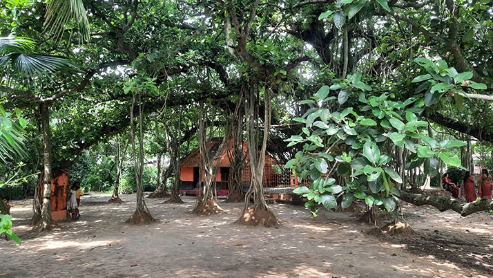 After the untimely death of her husband in an accident, this holy moment came to end