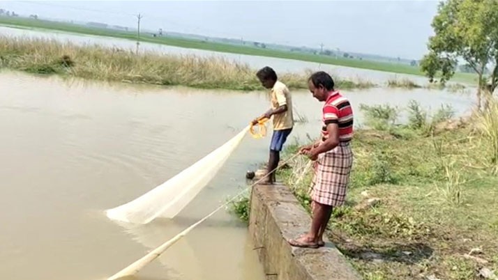 Crops are in crisis due to heavy rains in the end of monsoon. Farmers in fear of extreme loss
