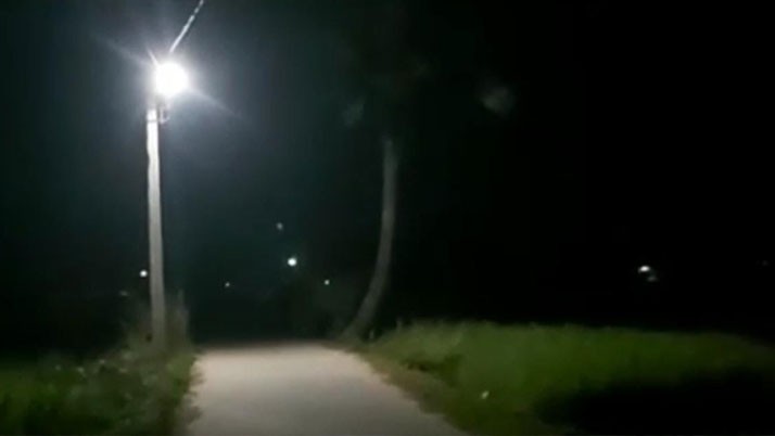 LED light does not produce crops on agricultural land! Gerbera farmers in trouble