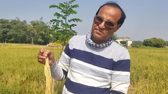 Farmers of Bhatar are happy, the paddy is doubled by cultivating Bangladeshi rice in burdwan
