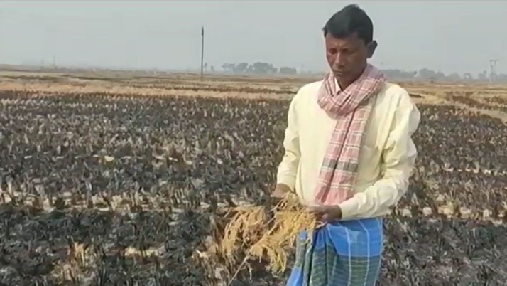 While burning the land, the rice of the neighboring land was burned, the farmer sat on the road
