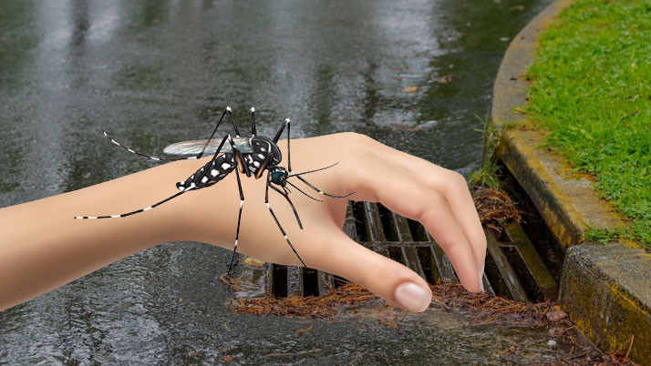 Death in Salt Lake due to dengue, an incident in Municipality chairman's own ward
