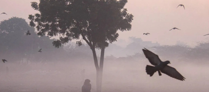 kolkata-coldest-day-december-temperature-drop-west-bengal-weather-update