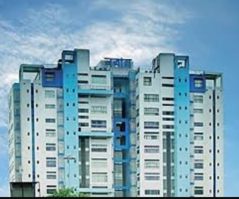 ipac-search-file-snatching-bjp-nabanna-dharna-ed-supreme-cour