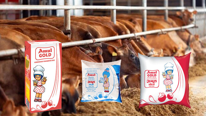 Drastic Change in 'Amul' Milk Prices: Rates Hiked, Imposing New Financial Strain on the Middle Class.