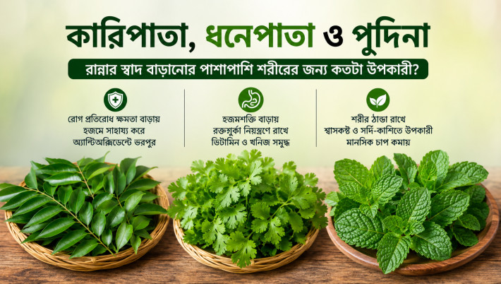 Benefits and Precautions of Curry Leaves, Coriander Leaves, and Mint