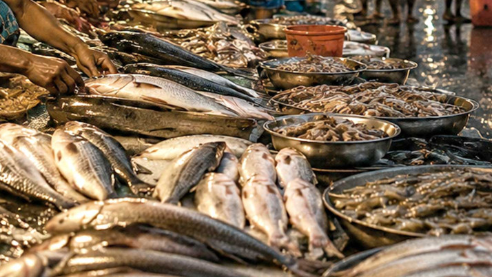 nepal-flood-fish-warning-bihar-administration-banned-fishing-selling-eating