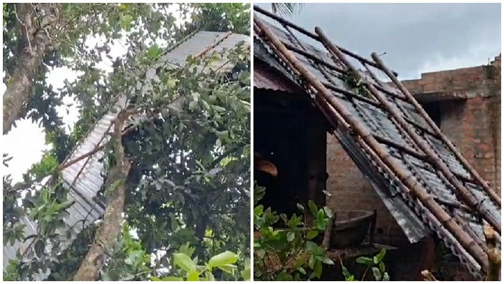 Suddenly, the village of Purbasthali was devastated by the storm's fury