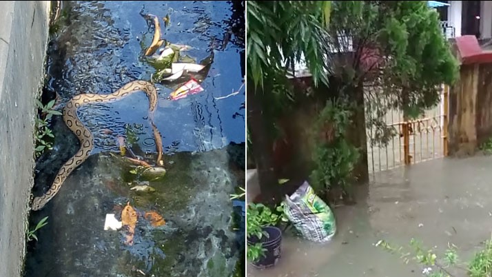Water Logged: Mahalaxmi Park residents of Durgapur write letter to CM