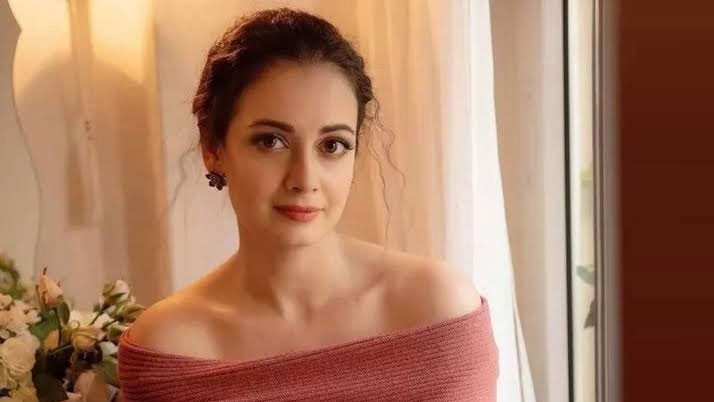 Diya Mirza stuck in aeroplane