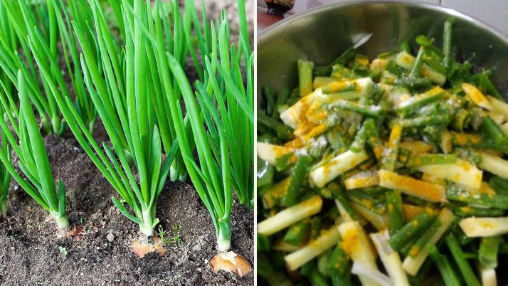 Why is it important to eat onion greens at the beginning of winter? Know the benefits and easy recipes